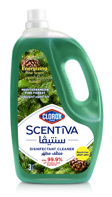 مطهر منظف بالصنوبر