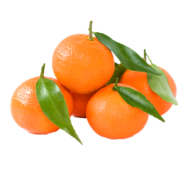 كليمنتين مع الأوراق