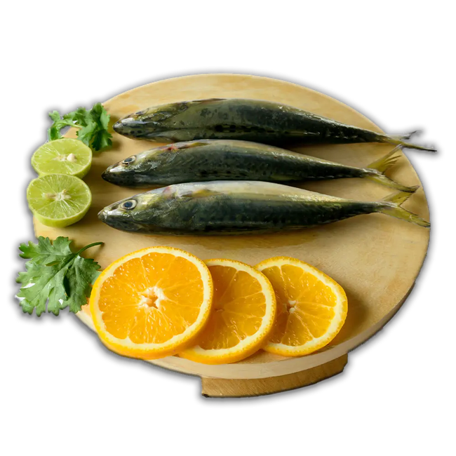 سمك الماكريل الهندي المجمد