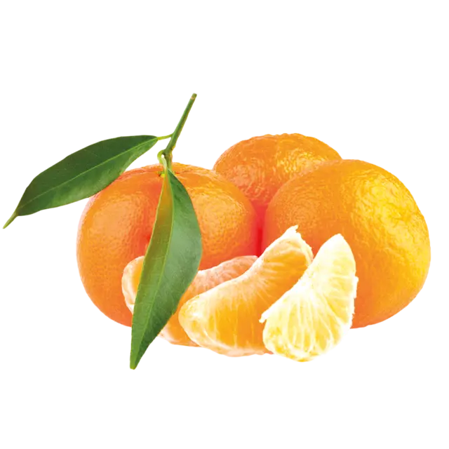 يوسفي جامبو