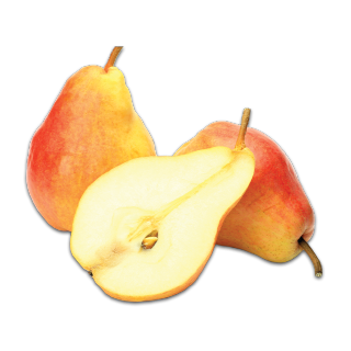 كمثرى روزماري